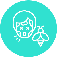 Dra Nancy Reacciones ante picacuras de insectos